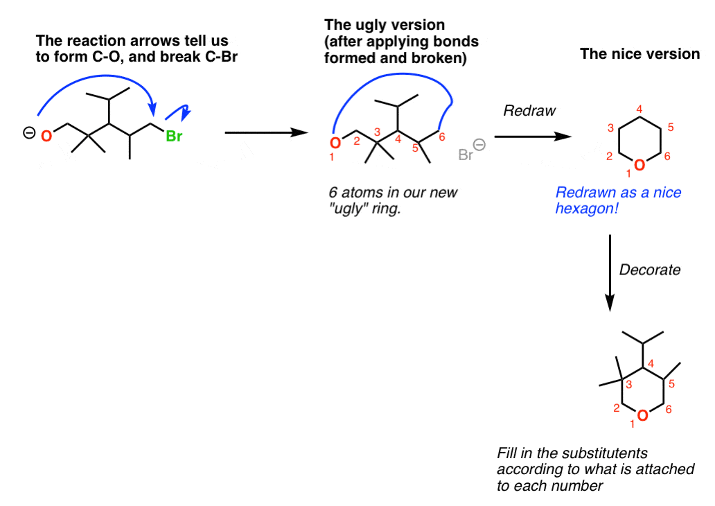 dont forget to draw ugly version first for intramolecular reactions like this intramolecular williamson form base then make ring then redraw then decorate do it stepwise