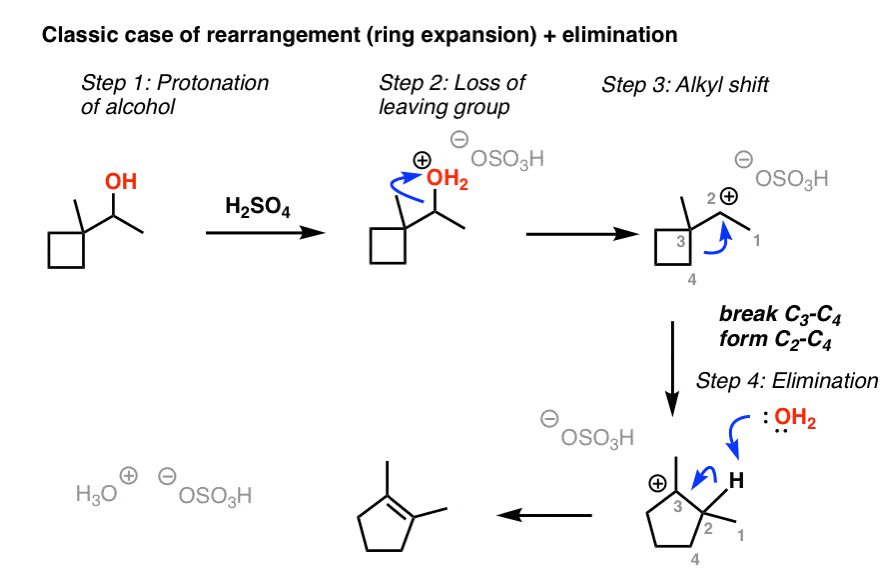 elimination of alcohol with ring expansion using h2so4 example protonation loss of leaving group alkyl shift deprotonation rearrangement mechanism