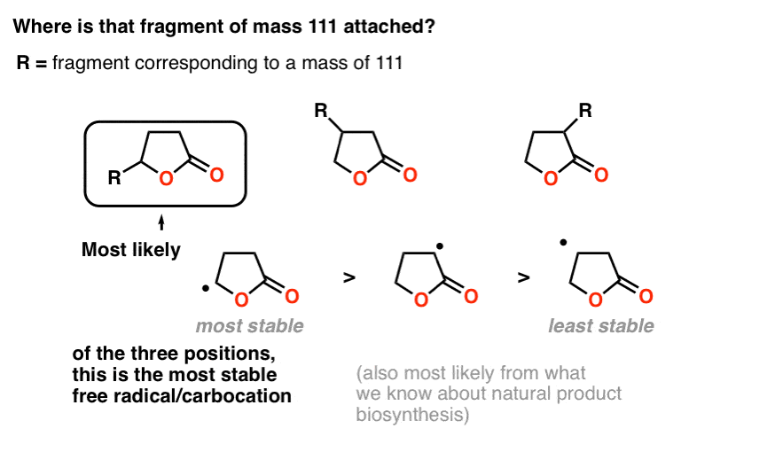 fragment-of-mass-111-likely-attached-to-certain-position-of-the-5-membered-lactone