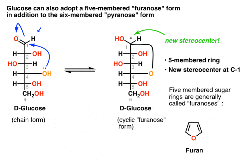 Predict whether d-altrose exists preferentially as a pyranos | Quizlet