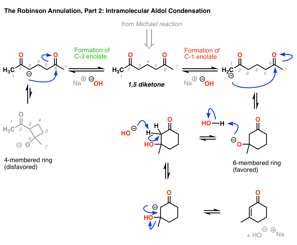 mechanism for second part of robinson annulation formation of ring cyclic aldol condensation