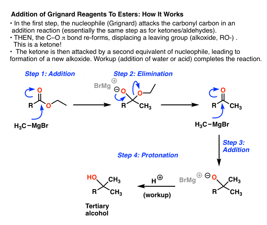 mechanism for the double addition of grignard reagents to esters