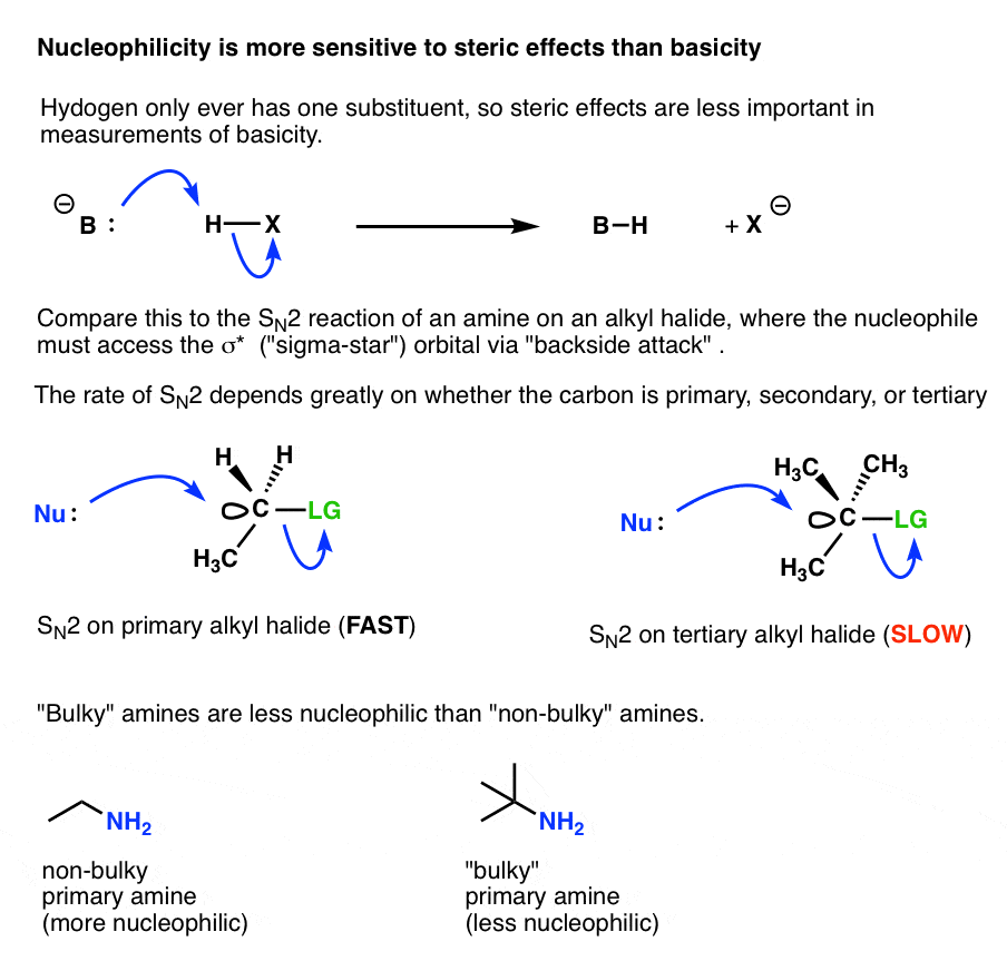 nucleophilicity is more sensitive to steric effects than basicity because nucleophile attacks carbon antibonding orbital