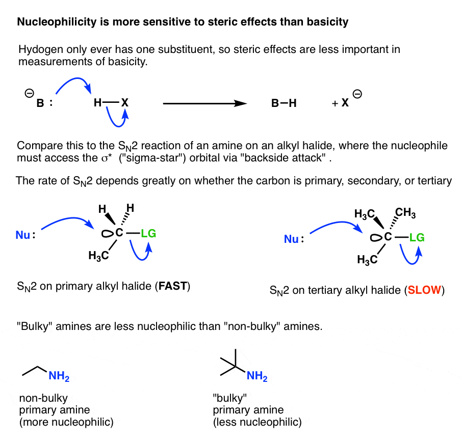 Nucleophilicity Trends of Amines – Master Organic Chemistry