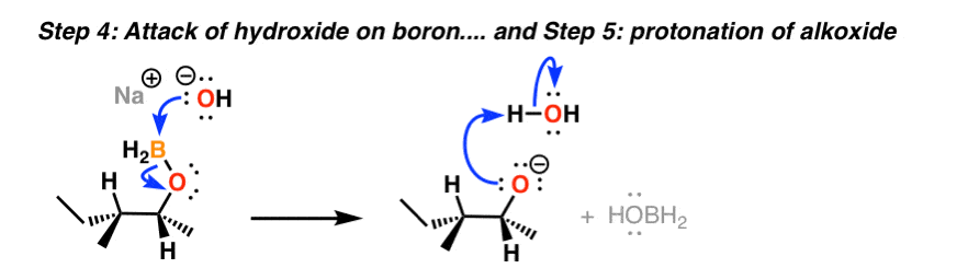 step 4 of oxidation step in hydroboration is cleavage of boronic ester to give alcohol