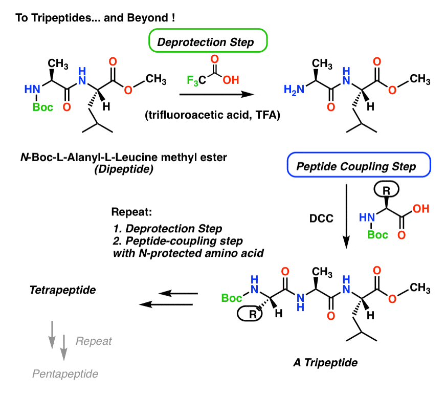 synthesis of a tripeptide using protecting group strategy example