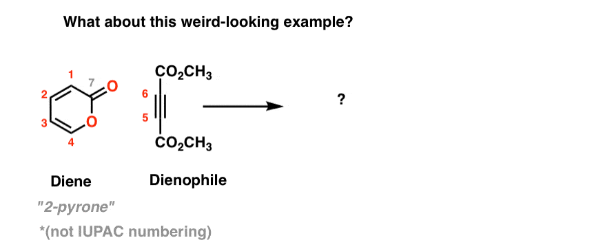 cyclic alkyne molecule