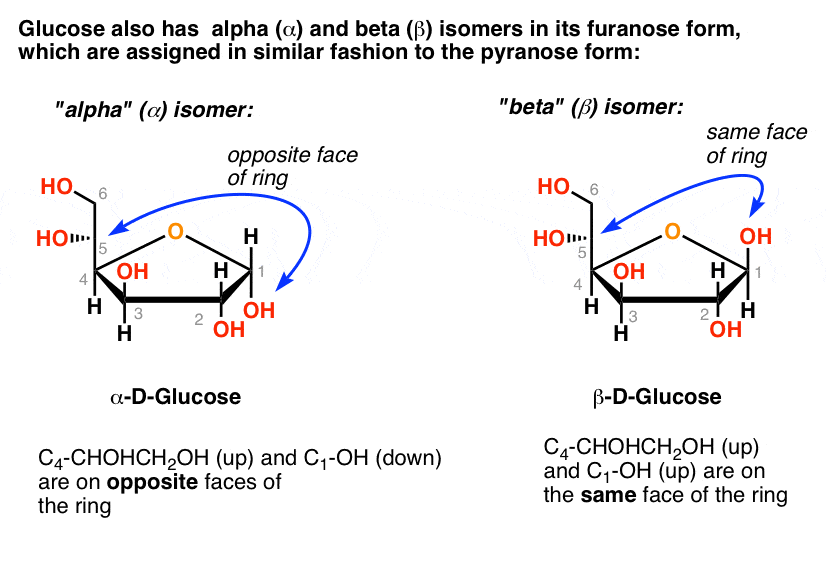 alpha-and-beta-isomers-of-glucose-in-its-furanose-form-how-they-are-assigned