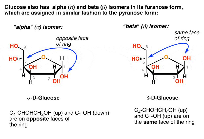 Free Vectors | Structure of fructose (C6H12O6)