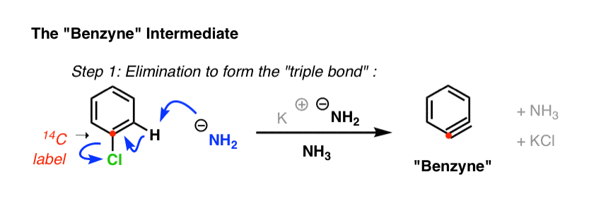 benzyne intermediate elimination to form triple bond with knh2