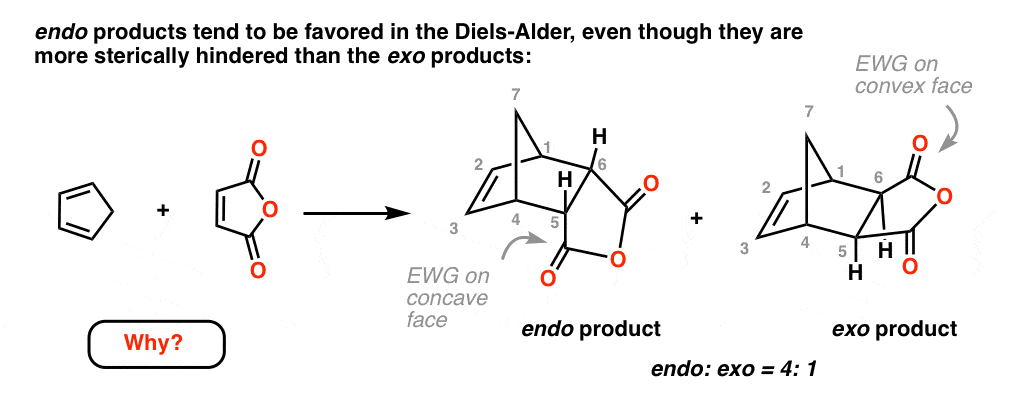 endo products tend to be favored in diels alder even though they are more sterically hindered than the exo products