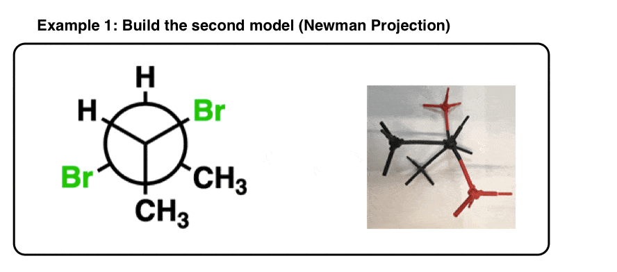 example-of-building-a-model-of-newman-projection-for-r-and-s