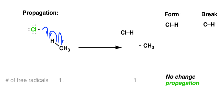 first-propagation-step-of-free-radical-chlorination-is-chlorine-radical-plus-methane-giving-hcl-and-methyl-radical