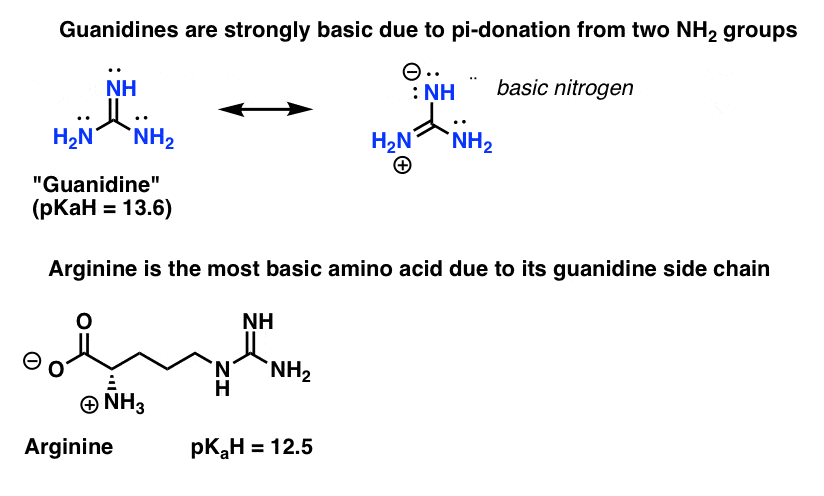 guanidines are strongly basic due to pi donation from two nh2 groups this is why arginine is most basic amino acid