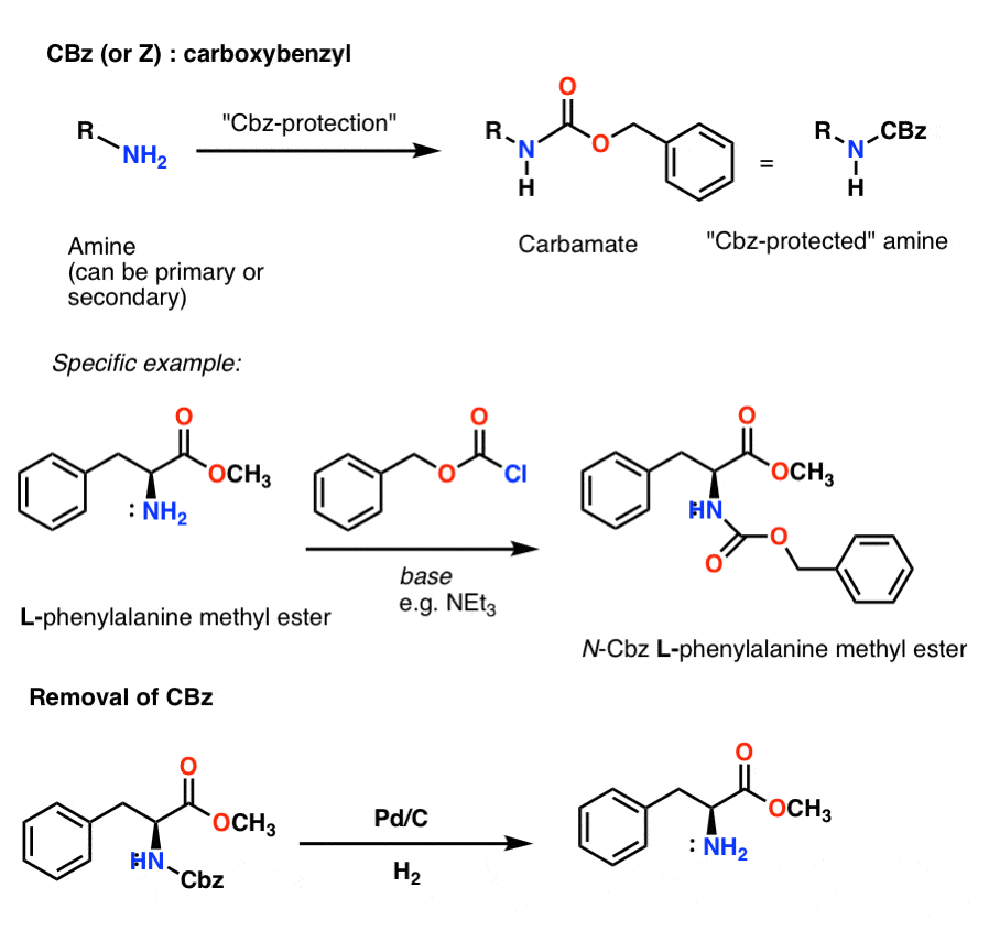 installation and removal of cbz carboxybenzyl amine protecting group