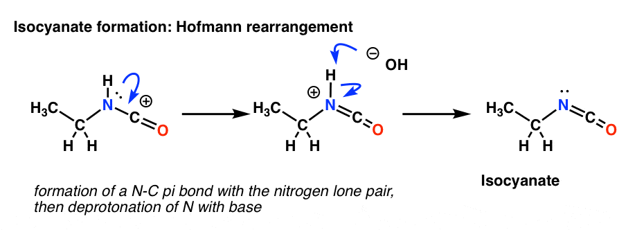 isocyanate formation in the hofmann rearrangement