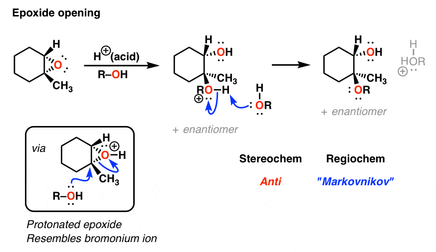 iii) Six membered ring containing carbon-carbon double bond is implied b..