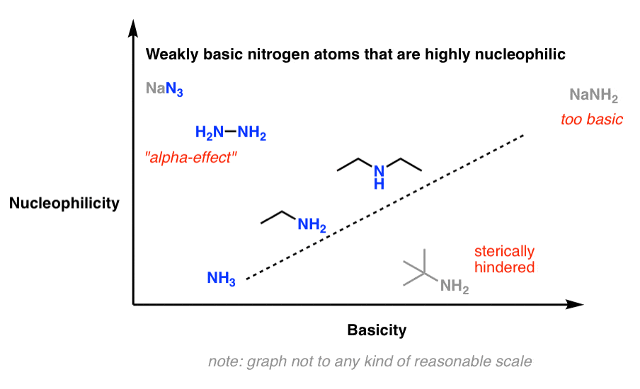 some poorly basic amines that are good nucleophiles include azide ion and hydrazine