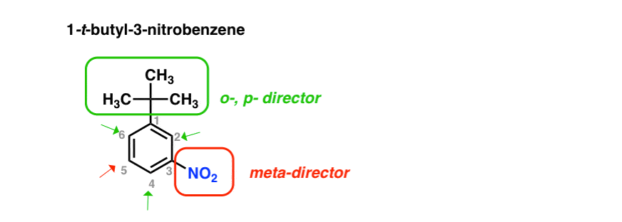 t butyl groups disubstituted benzene have strong steric effects