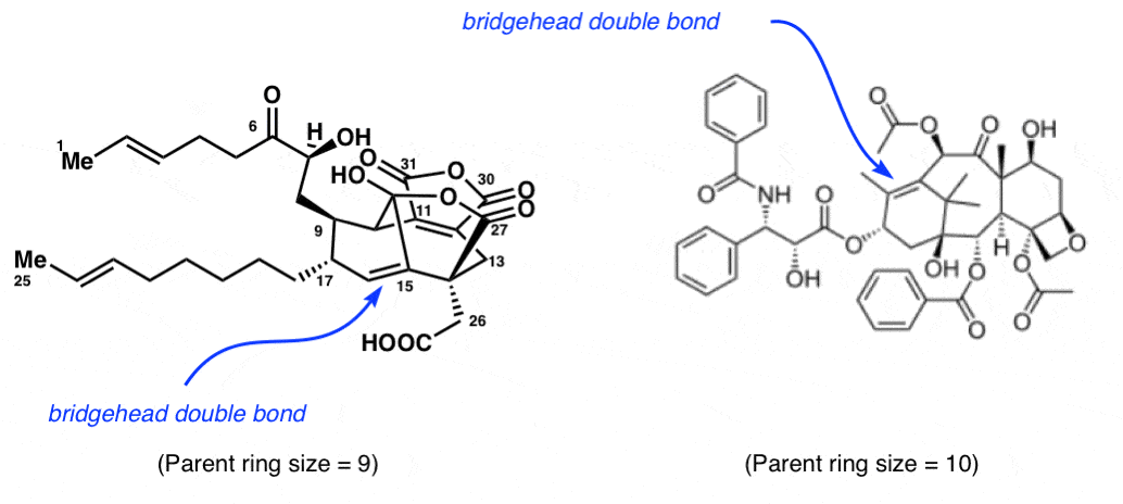 F1-examples-of-molecules-with-bridgehead-olefins-cp225917-and-taxol