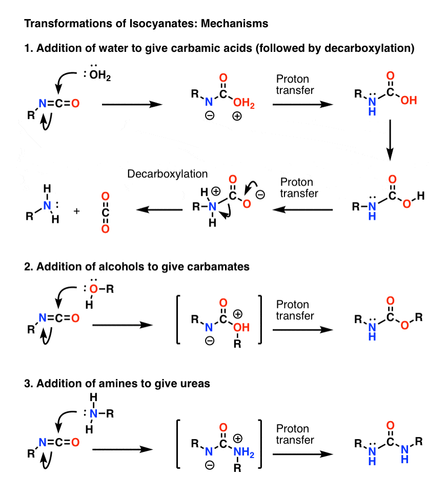 fate of isocyanate in hofmann and curtius rearrangement formation of urea amine carbamate mechanisms