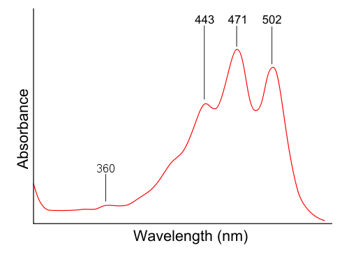 UV/VIS Spectroscopy - an overview