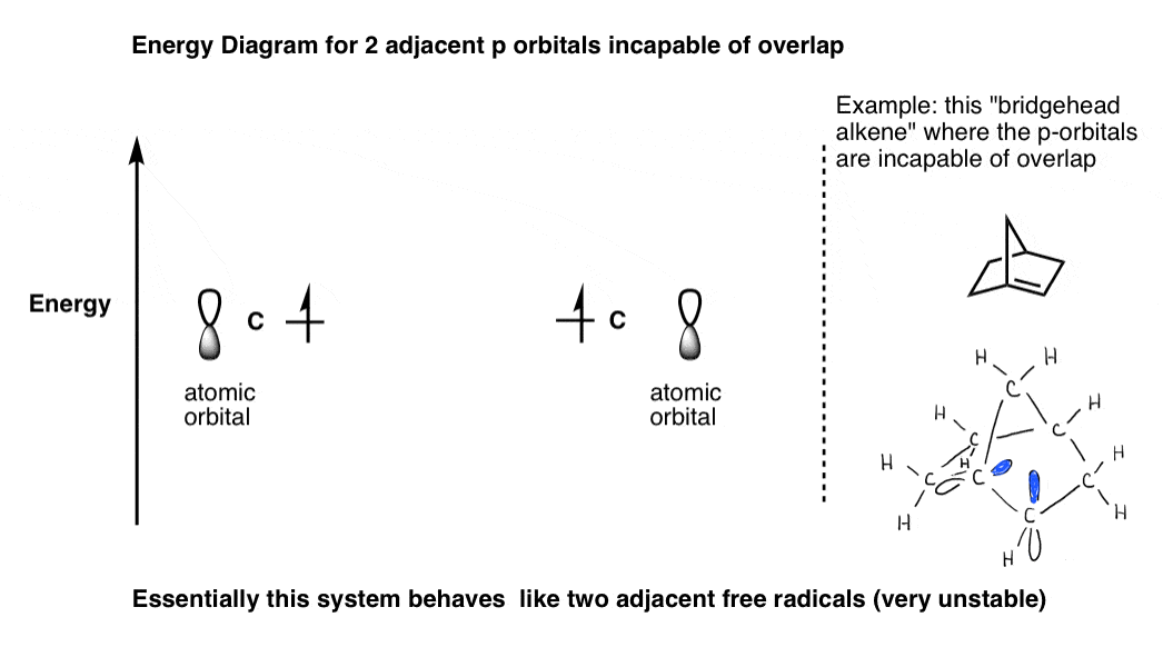 what about two adjacent p oribtals incapable of overlap like in a bridgehead alkene these orbitals behave like free radicals very unstable