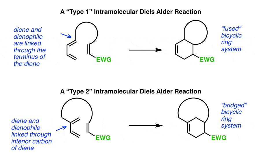 Type-1-and-Type-2-Diels-Alder-Reactions