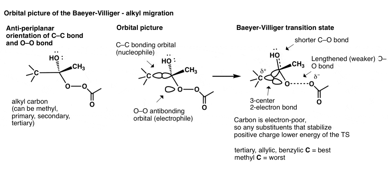 baeyer villiger oxidation orbital picture of alkyl migration