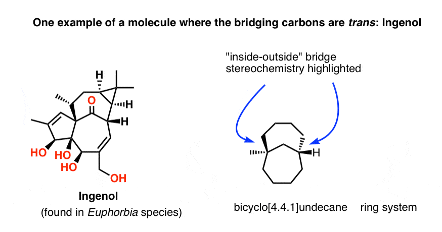 F2-ingenol-is-example-of-molecule-with-in-out-bicyclic-ring-junction-4-4-1-bicyclic