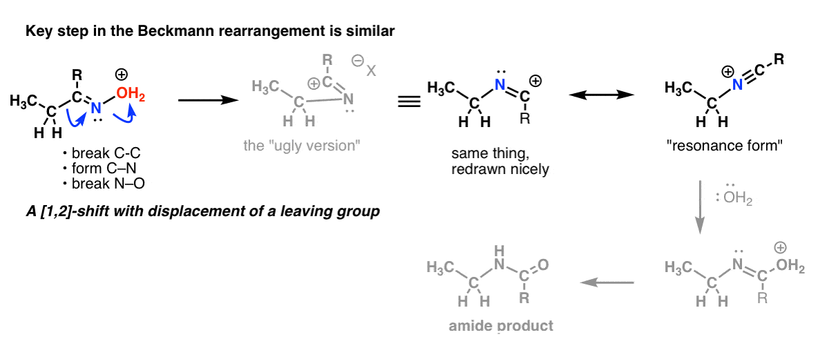 key step in beckmann rearrangement is similar to hofmann and curtius