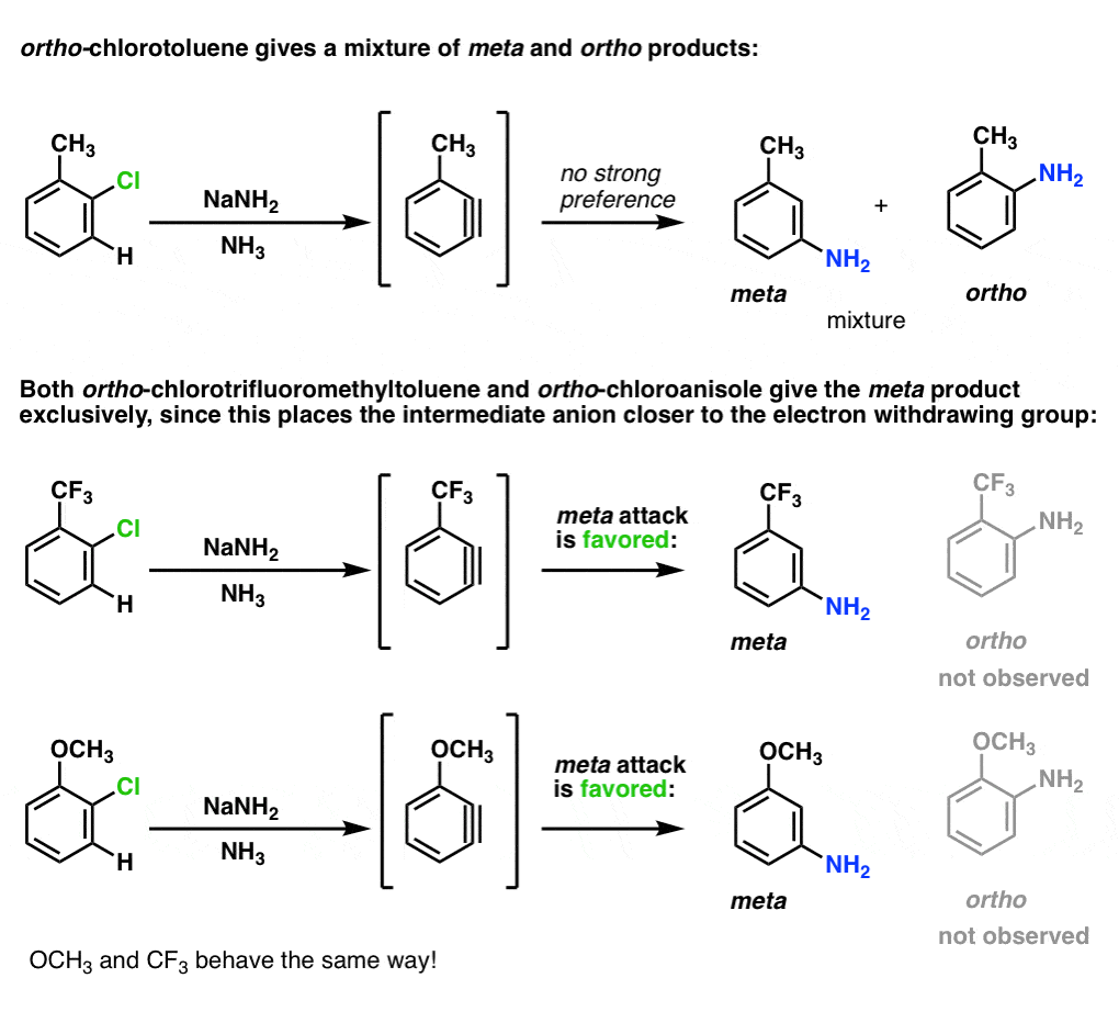 ortho disubstituted benzenes aryne formation product distribution