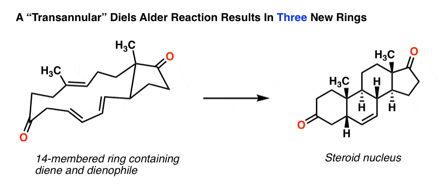 Example-of-a-transannular-diels-alder-reaction-to-form-the-steroid-nucleus