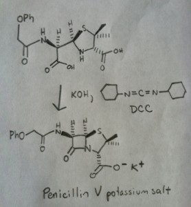 2-Carmen Drahl-afbeelding van DCC-gebruik bij penicilline V-synthese