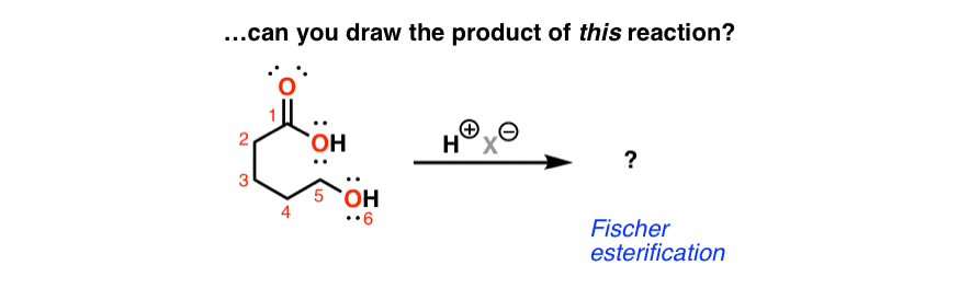 fischer projection intramolecular