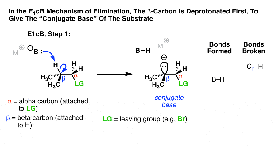 in-the-e1cb-mechanism-the-first-step-is-deprotonation