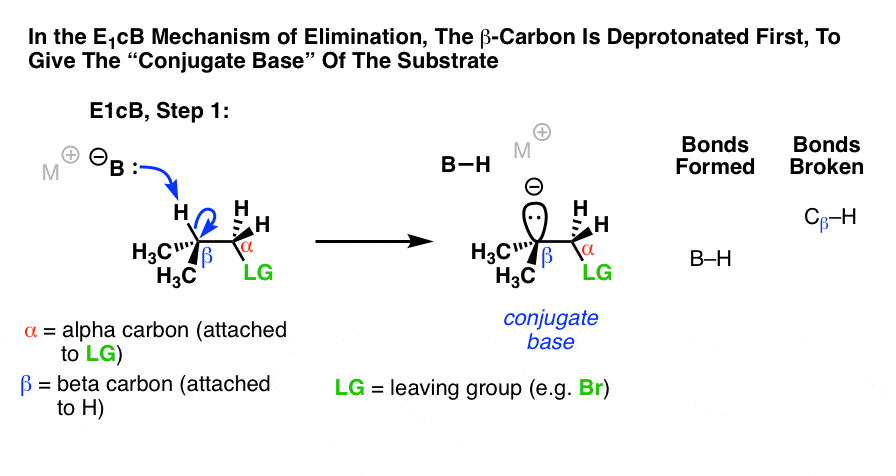 E1cb Elimination Unimolecular Conjugate Base