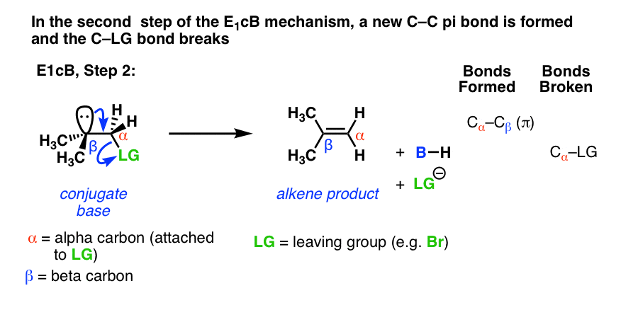in-the-second-step-of-the-e1cb-mechanism-there-is-elimination