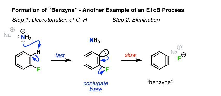 e1cb-in-the-mechanism-of-benzyne-formation