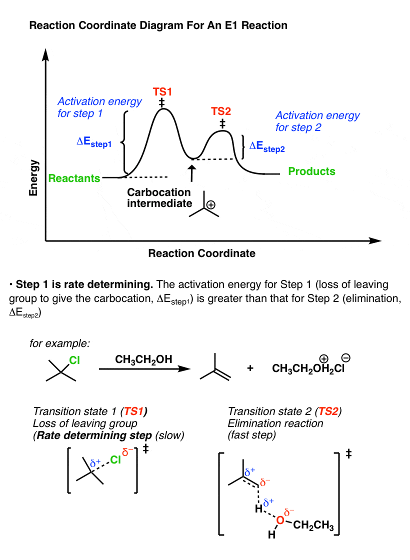 -reaction-coordinate-diagram-for-the-e1-mechanism