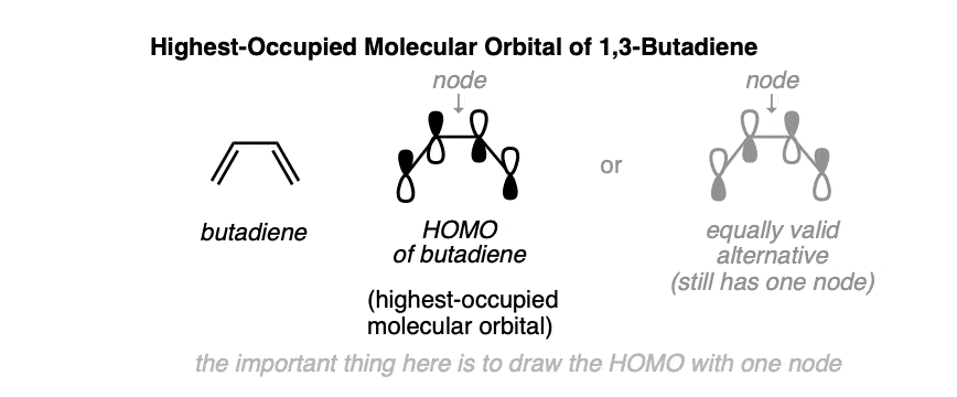 drawing of the homo of butadiene with one node