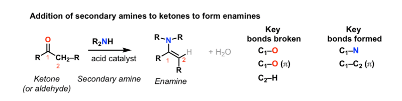 Formation Of Enamines From Ketones Aldehydes And Secondary Amines Master Organic Chemistry