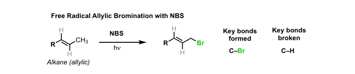 Allylic Bromination Of Alkanes Using Nbs Master Organic Chemistry