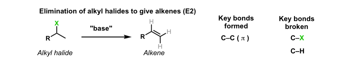 Alkyl Halide E2 Reaction