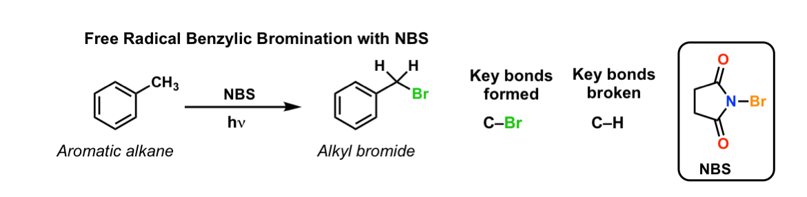 n-bromosuccinimide-nbs-as-a-reagent-in-organic-chemistry