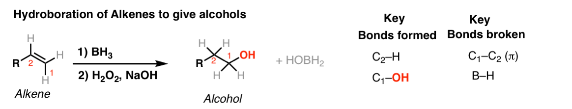 Hydroboration Of Alkenes Master Organic Chemistry