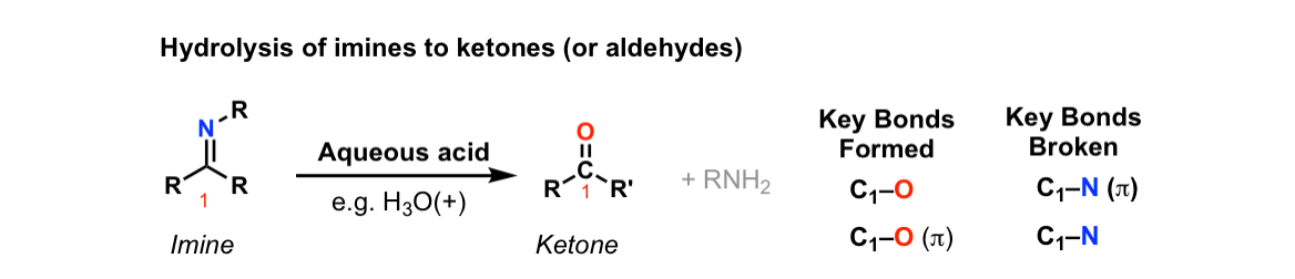 hydrolysis of imines to ketones or aldehydes with aqueous acid