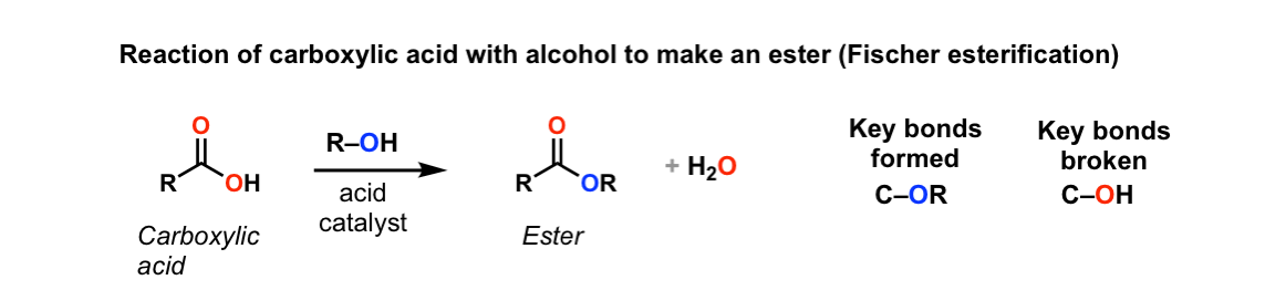 condensation reaction between alcohol and carboxylic acid