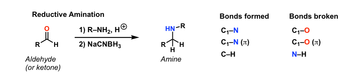 Reductive Amination Master Organic Chemistry 1899