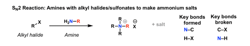 SN2 reaction of amines with alkyl chlorides to give ammonium salts ...
